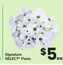 Safeway Signature SELECT Poms offer