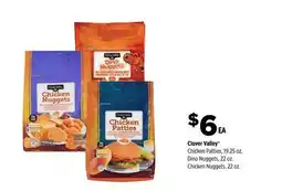 Dollar General Clover Valley Chicken Patties, 19.25 oz. Dino Nuggets, 22 oz offer