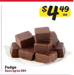 Winn Dixie Fudge offer