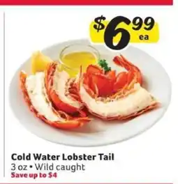 Winn Dixie Cold Water Lobster Tail offer