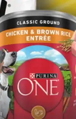 Family Dollar Purina ONE Wet Dog Food offer