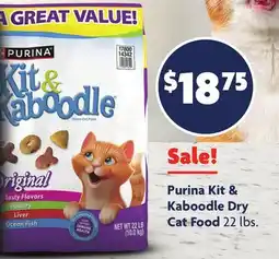 Family Dollar Purina Kit & Kaboodle Dry Cat Food offer
