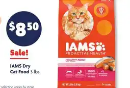 Family Dollar IAMS Dry Cat Food offer