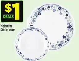 Dollar General Melamine Dinnerware offer