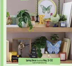 Dollar General Spring Decor offer