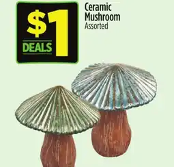 Dollar General Ceramic Mushroom offer