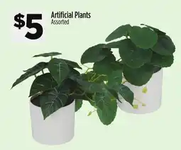 Dollar General Artificial Plants offer