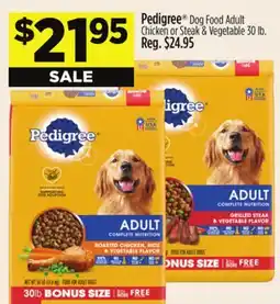 Dollar General Pedigree Dog Food Adult Chicken or Steak & Vegetable offer