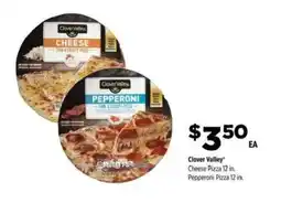 Dollar General Clover Valley Cheese Pizza offer