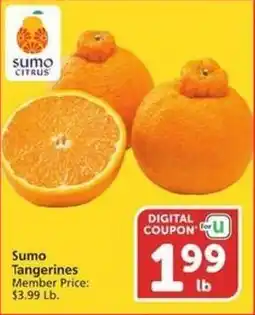 Albertsons Sumo Tangerines offer