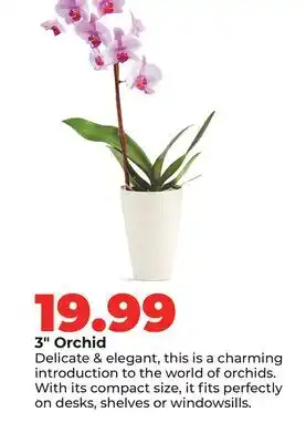 Hy-Vee 3 Orchid offer