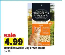 Meijer Boundless Acres Dog or Cat Treats offer