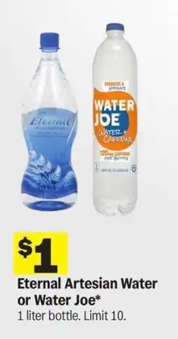 Meijer Eternal Artesian Water or Water Joe offer
