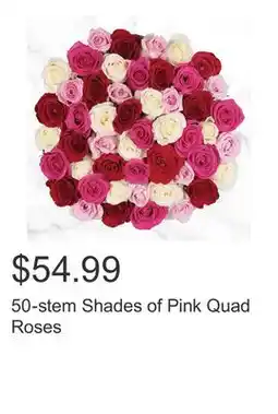 Costco 50-stem Shades of Pink Quad Roses offer