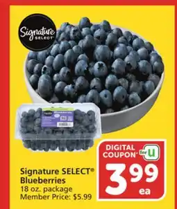 Albertsons Signature SELECT Blueberries offer