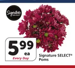 Vons Signature SELECT Poms offer