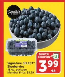 Vons Signature SELECT Blueberries offer