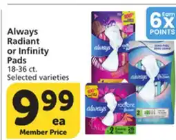 Vons Always Radiant or Infinity Pads offer