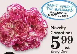 Pavilions Novelty Carnations offer