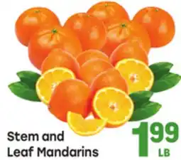 Tony’s Fresh Market Stem and Leaf Mandarins offer