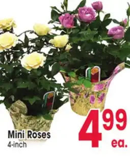 Jewel-Osco Mini Roses offer