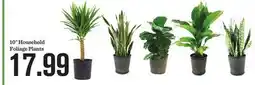 Mariano's 10 Household Foliage Plants offer