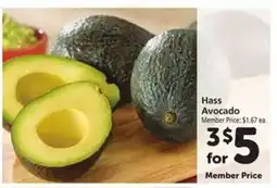Safeway Hass Avocado offer