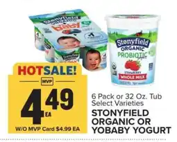 Food Lion Stonyfield Organic or YoBaby Yogurt offer