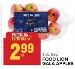 Food Lion FOOD LION GALA APPLES offer