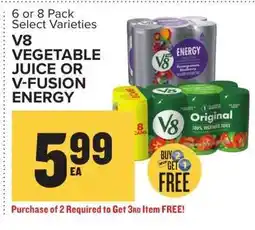 Food Lion V8 Vegetable Juice or V-Fusion Energy offer