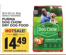 Food Lion Purina Dog Chow Dry Dog Food offer