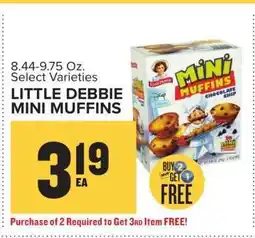 Food Lion Little Debbie Mini Muffins offer