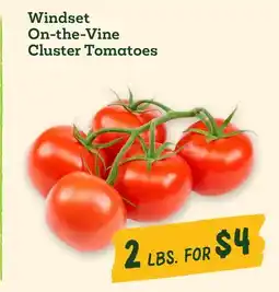 Sprouts Farmers Market Windset On-the-Vine Cluster Tomatoes offer