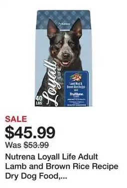 Tractor Supply Company Nutrena Loyall Life Adult Lamb and Brown Rice Recipe Dry Dog Food, 40 lb. Bag offer