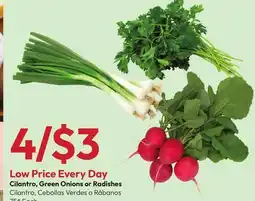 Stater Bros Cilantro, Green Onions or Radishes offer