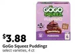 Fareway GoGo Squeez Puddingz offer
