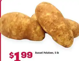 Grocery Outlet Russet Potatoes offer