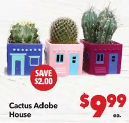 Vallarta Supermarkets Cactus Adobe House offer