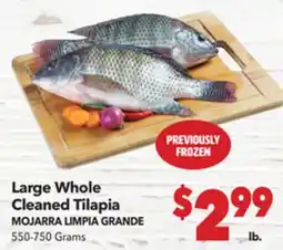 Vallarta Supermarkets Large Whole Cleaned Tilapia / MOJARRA LIMPIA GRANDE offer
