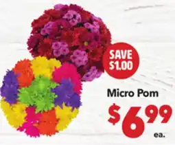 Vallarta Supermarkets Micro Pom offer