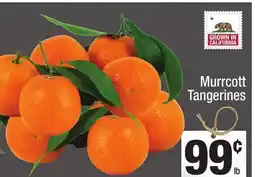 Super King Markets Murrcott Tangerines offer