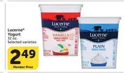 Albertsons Lucerne Yogurt offer