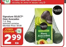 Albertsons Signature SELECT Hass Avocados offer