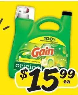 Winn Dixie Gain Original offer