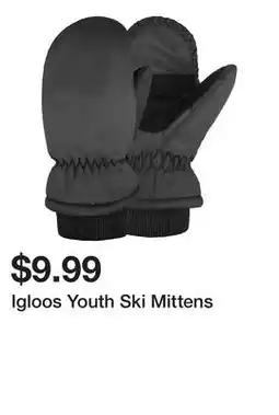 Dick's Sporting Goods Igloos Youth Ski Mittens offer
