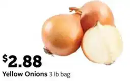 Fareway Yellow Onions offer