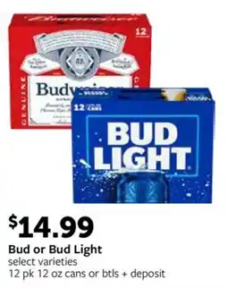 Fareway Bud or Bud Light offer