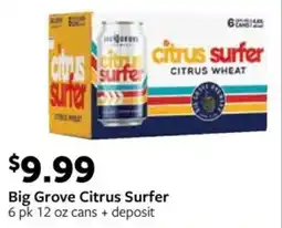 Fareway Big Grove Citrus Surfer offer