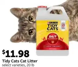 Fareway Tidy Cats Cat Litter offer