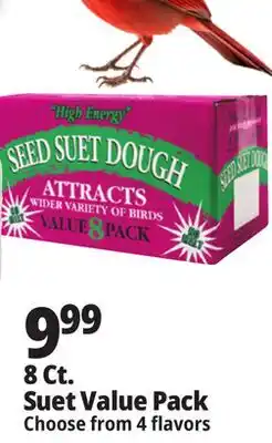 Ocean State Job Lot Seed & Suet High Energy Suet Value Pack 8 Count offer